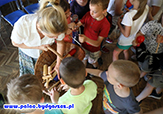 Zdjęcie: 8503.jpg